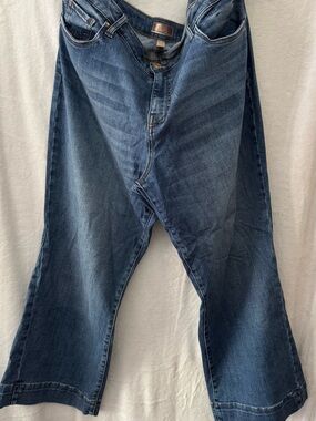 Kut from the Kloth Women's Kelsey high rise Ankle flare Jeans